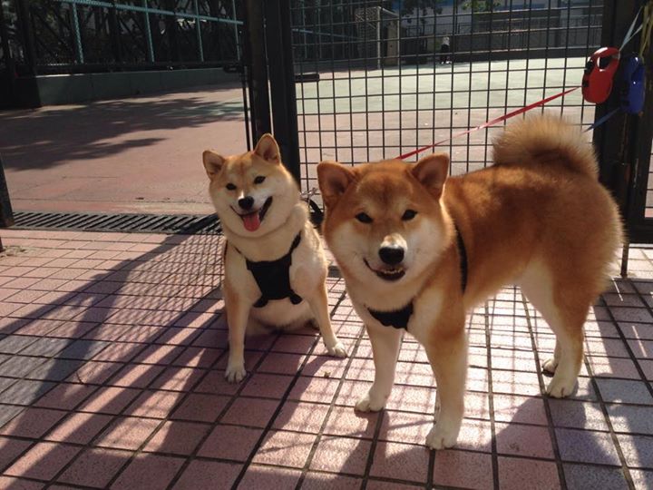 纪录之夜，迪马利亚刷新助攻传奇，乌拉圭力克瑞士晋级争冠战