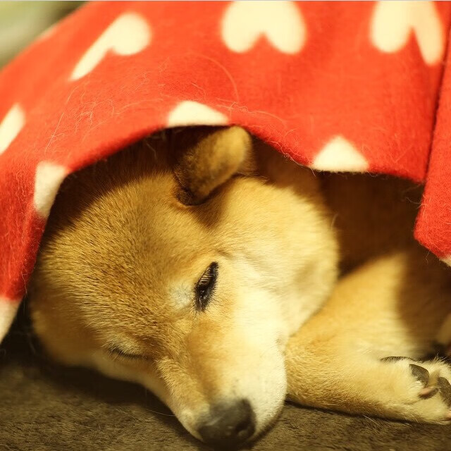 唯一焦点,当雷霆用慢征服了时间的狂飙