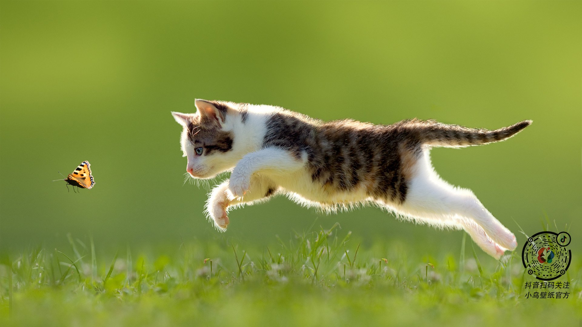 灰熊终结雄鹿，恩比德如何上演唯一剧本，成为终极关键先生？